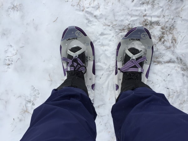 looking down legs of person wearing blue snowpants to two snowshoes on the snow