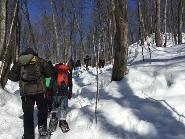 snowshoers walking up a snowy hill in gatineau park