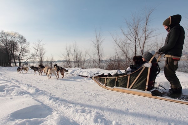 dogsled dogsledding fete des neiges parc jean-drapeau montreal