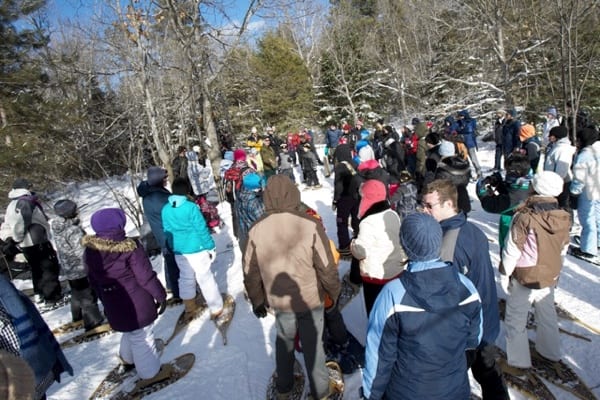 Algonquin Park Winter in the Wild