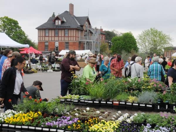 people looking at tables of plants outdoors, with red brick building in background