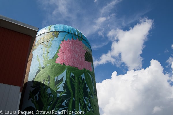 a pink flower adorns the popsilo at horses by hannah in casselman. 