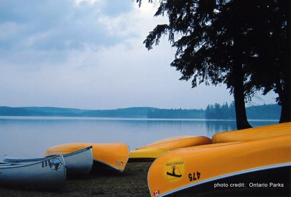 yellow canoes by lake in algonquin park.