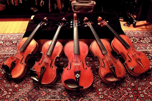 five fiddles (violins) on a carpet