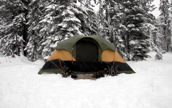 Green and yellow tent in winter in front of pine trees. https://unsplash.com/photos/f5sdemaT7XE