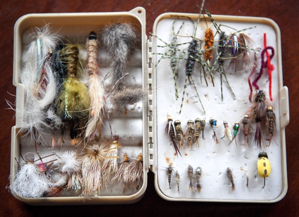 Feathery fishing lures arranged in an open tackle box. Photo by Sarah Labuda on Unsplash.