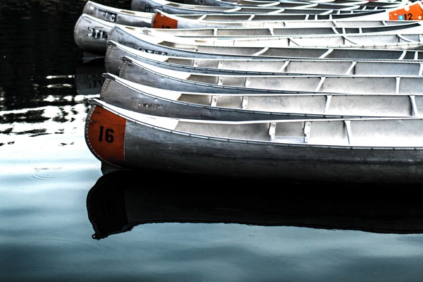 A row of canoes in the water.