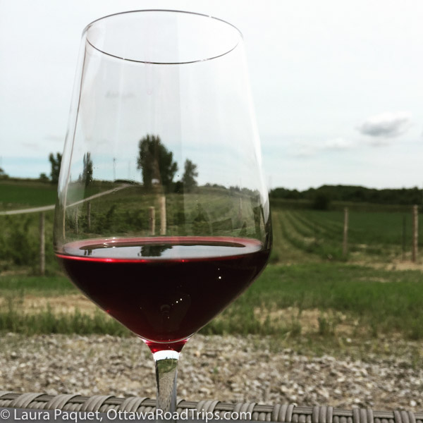 glass of marquette red wine with vineyard in background at rolling grape winery in bailieboro, ontario.