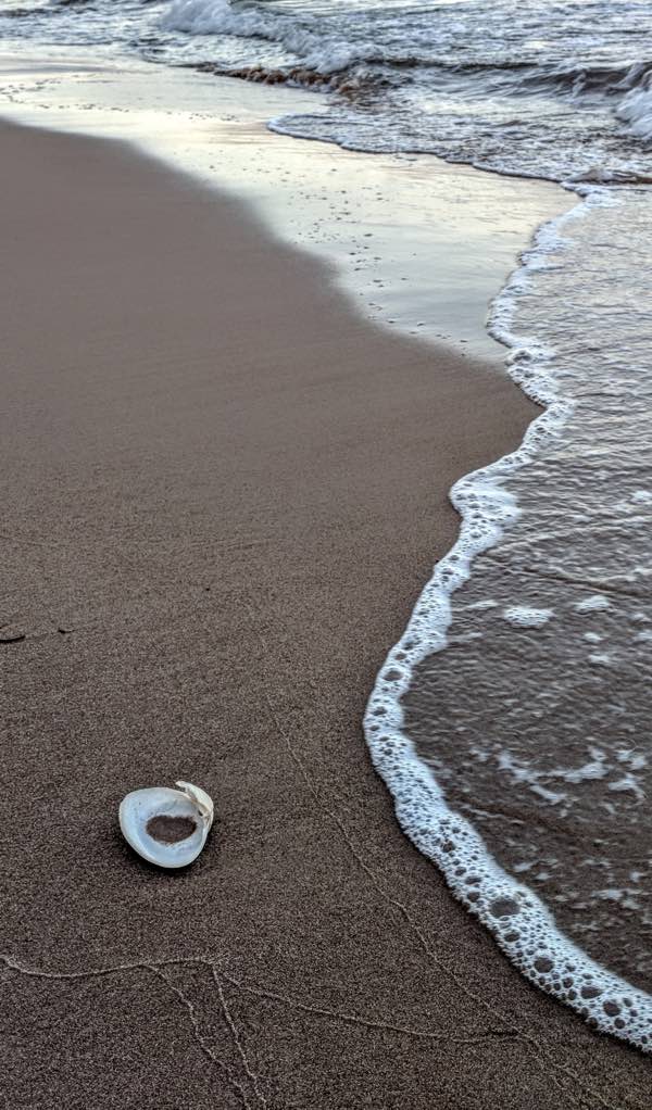 Glorious beachcombing awaits you on Prince Edward Island. Photo by Katharine Fletcher.