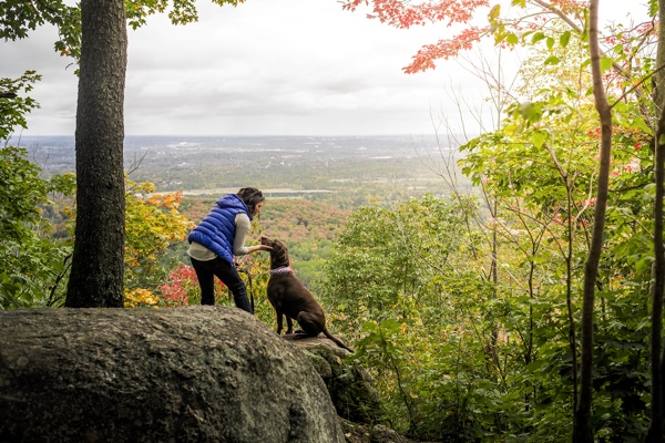 woman with a dog on a high point in gatineau park, with fall colours (autumn leaves).