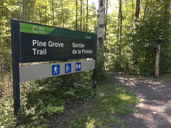 pine grove trail sign, ottawa