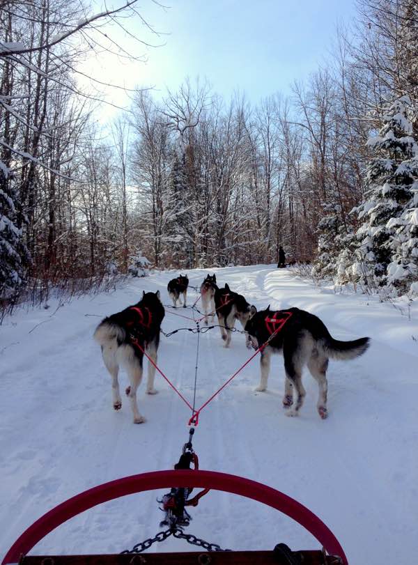 Mushing with a dogsled team of seven huskies at Escapade Eskimo, Otter Lake, Outaouais, Quebec. Photo by Katharine Fletcher.