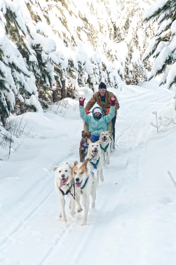 Guests dogsledding at Timberland Tours Dog Sled Adventures. Photo by Jenn Becker, Hemlock Hills.
