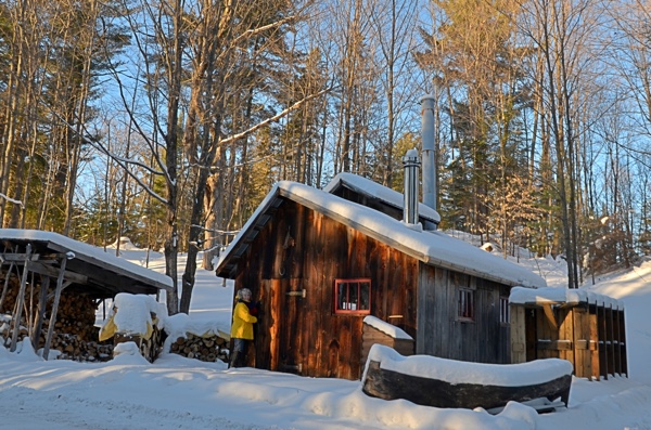 The sugar shack at Parc Omega. Photo: Eric Fletcher