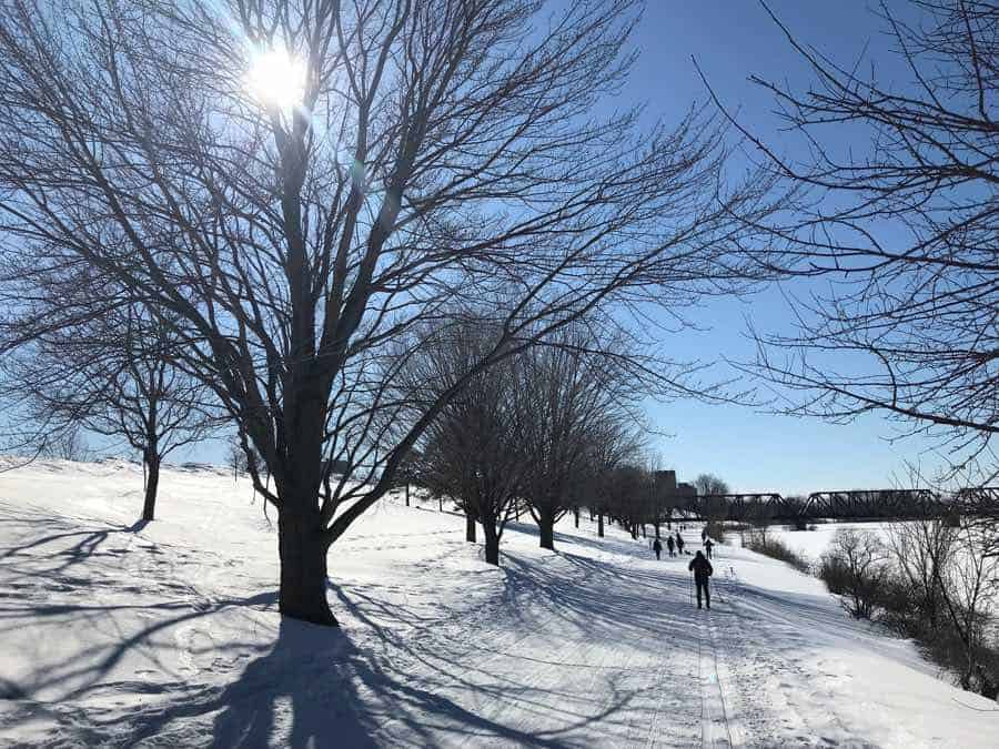 skiers on the snowy kichi sibi winter trail beside the ottawa river with leafless trees, bright sun and blue sky