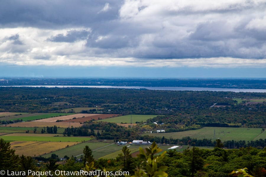view from the etienne brûlé lookout of flat green and yellow farm fields, then forest, then the ottawa river in the background.