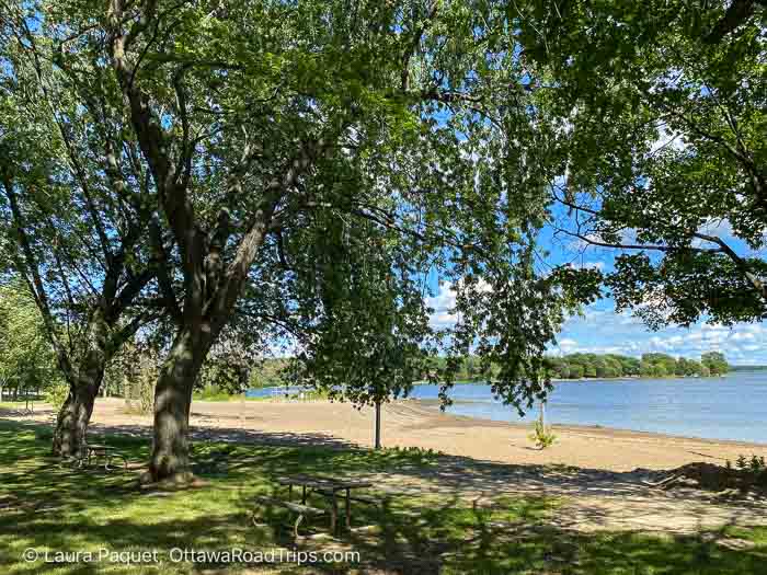 long sandy beach with green deciduous trees in foreground