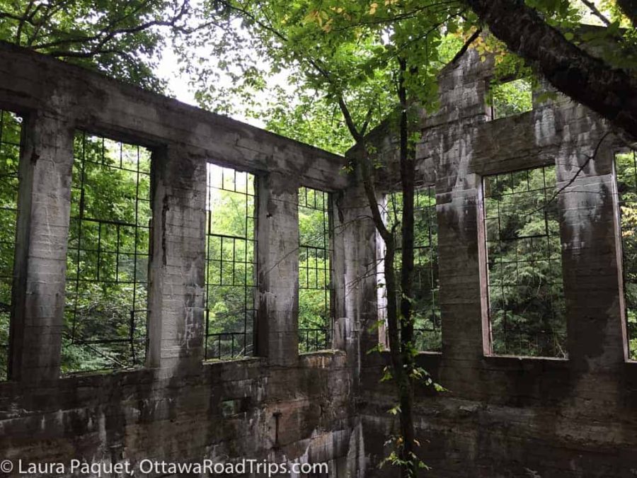 grey roofless ruins with large empty windows surrounded by trees.
