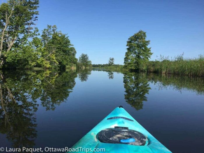 prow of a blue kayak on the tay canal