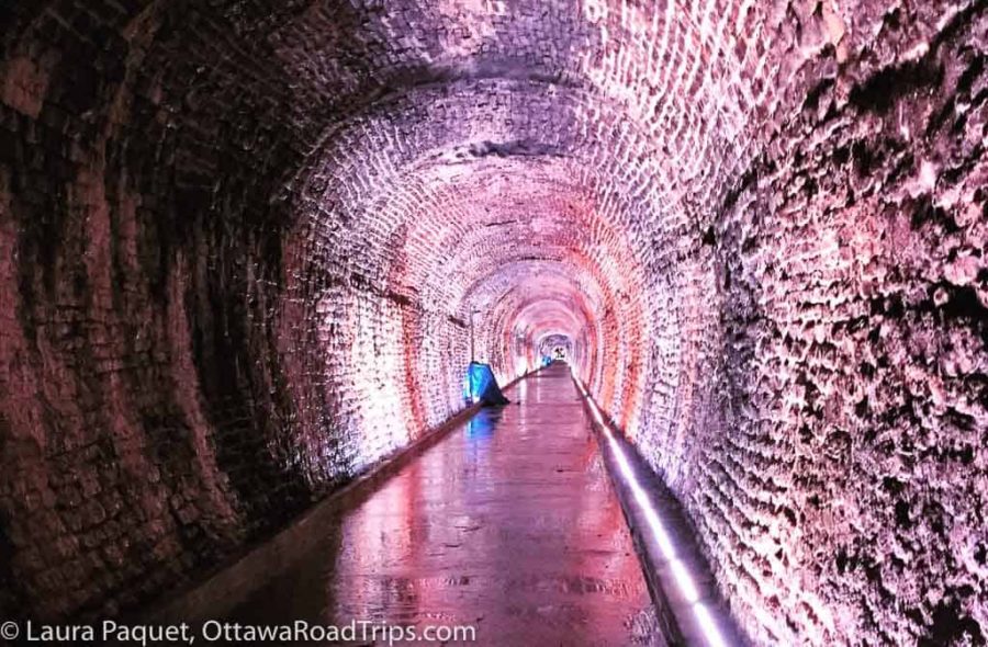 stone railway tunnel illuminated with pink and purple lights