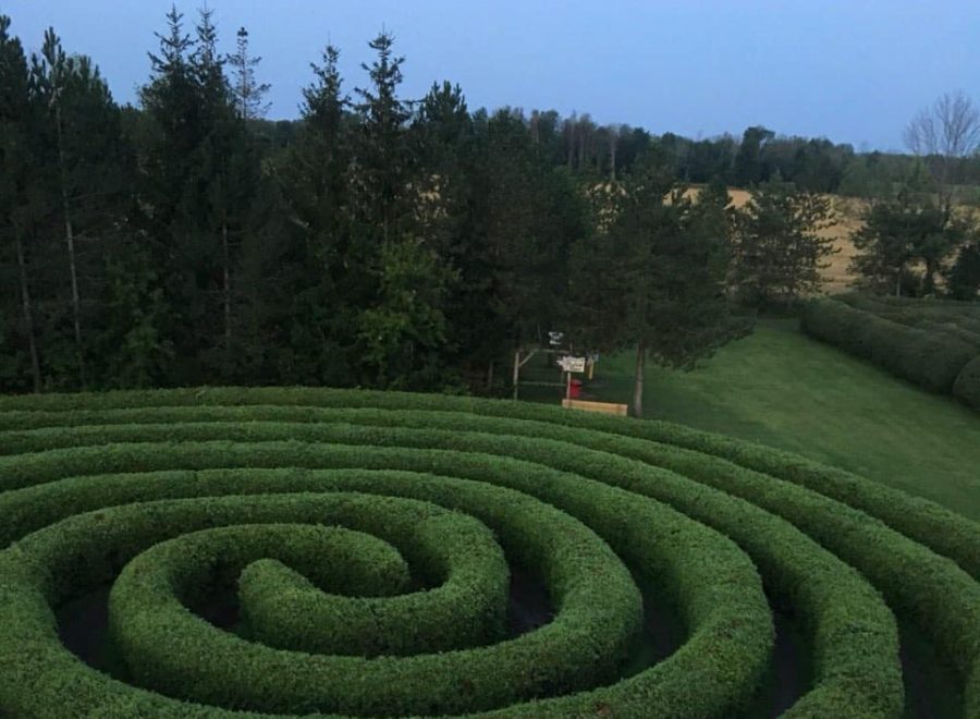 spiral-shaped hedge maze in a field, with conifers in background