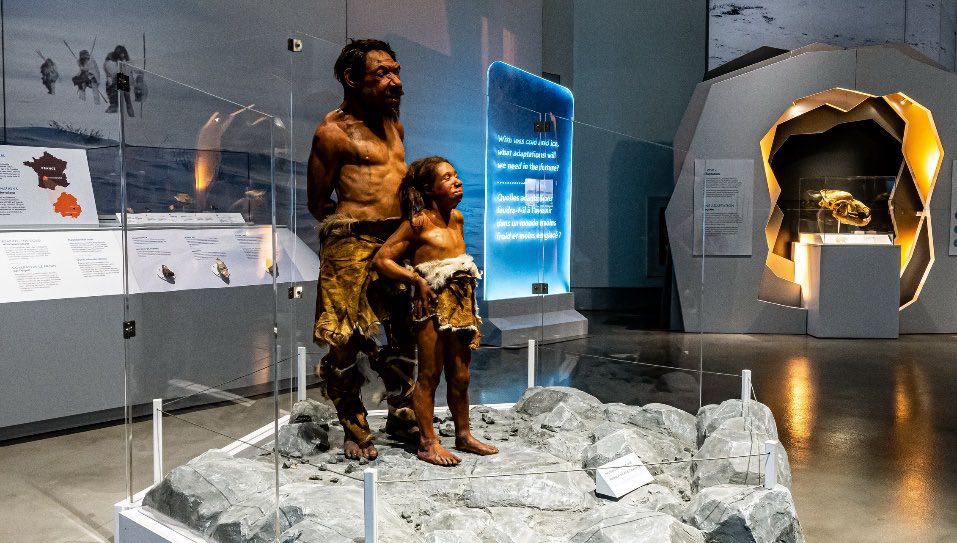 Models of a Neanderthal man and child in a museum display.