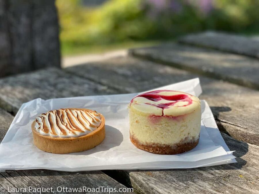 a small tart and a small cheesecake on a picnic table