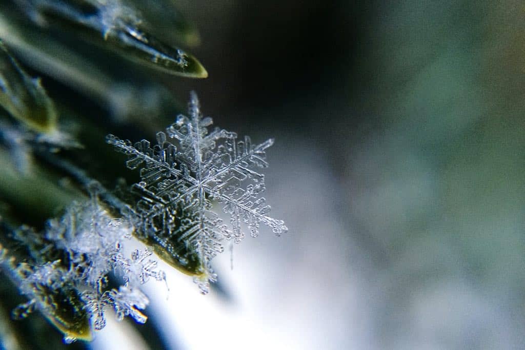 An icy snowflake against a blurry green background.