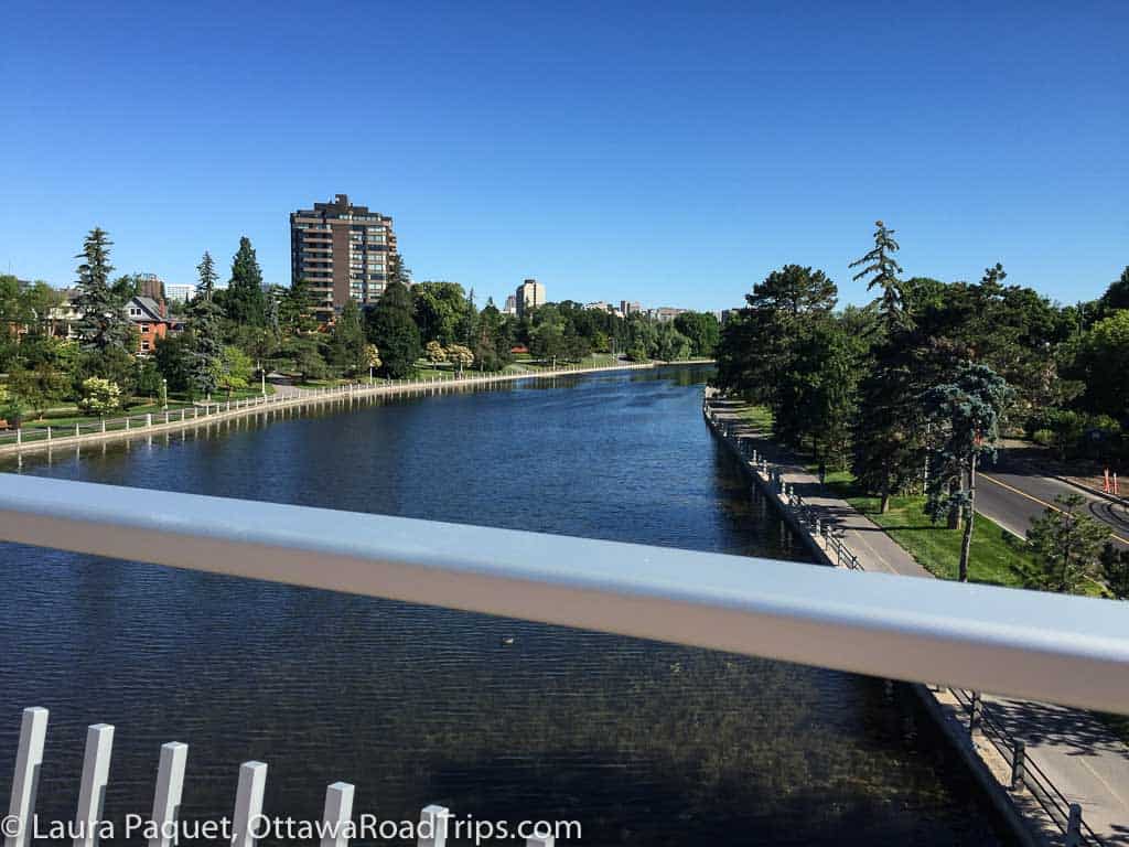 View of the Rideau Canal in Ottawa from the Flora Footbridge, with houses, apartment buildings, trees and recreational pathways.