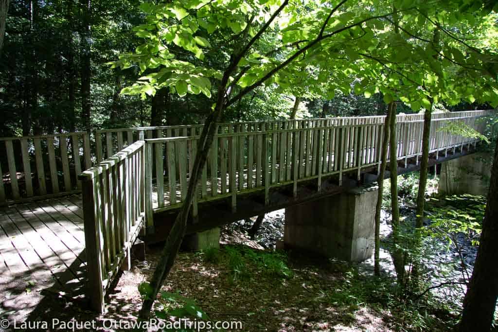wooden bridge leads over a dry creek, shaded by trees.