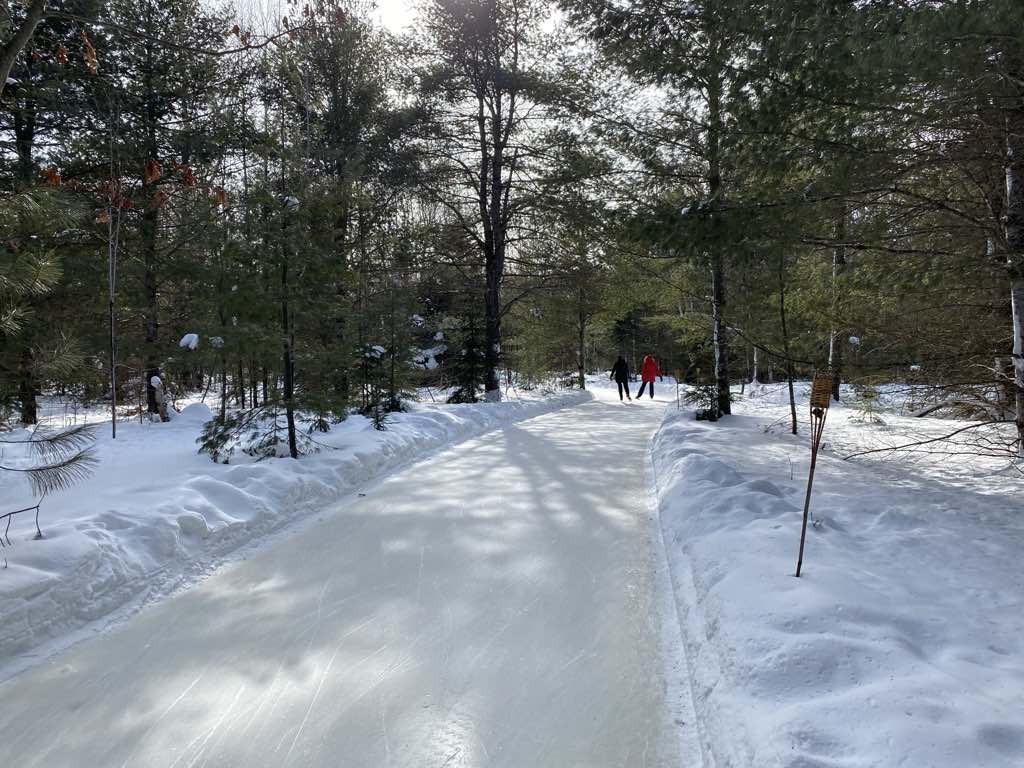 wide skate trail through forest of conifers