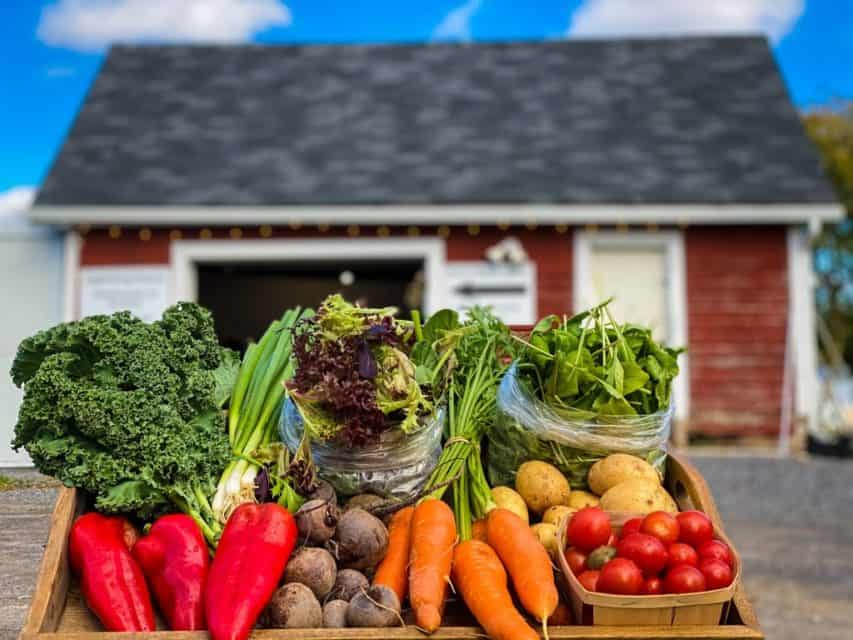 9 things to do this week Biking, music, comics and a farm Ottawa