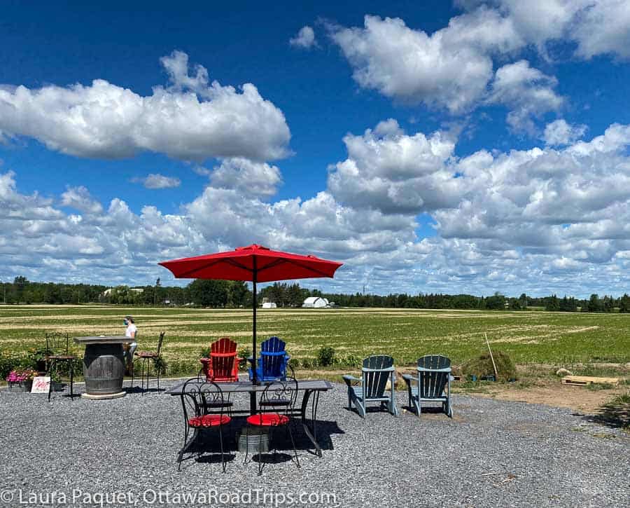 muskoka chairs, a red patio umbrella, bistro chairs and various tables on a gravel patio overlooking a green farm field.