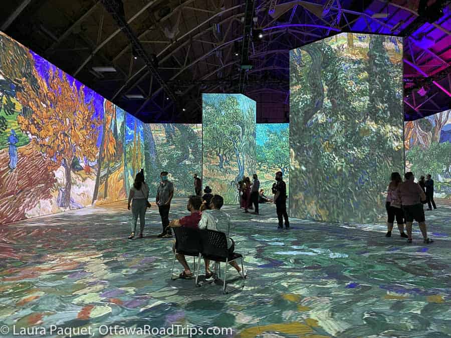 silhouetted people in front of large projections of Van Gogh paintings at Lansdowne Park in Ottawa