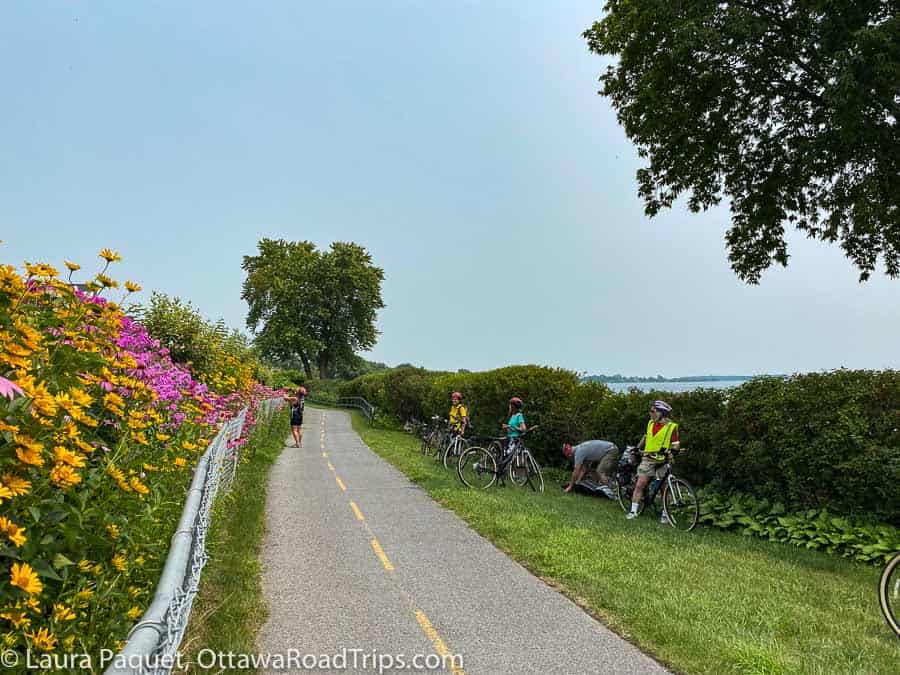 cyclists nest to a bike path with blooming flowers along fence