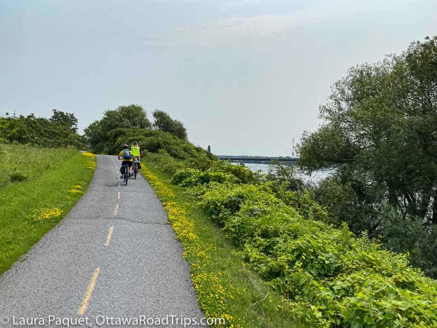two cyclists shown from behind cycling along path beside river, lined with green shrubs, trees and yellow flowers