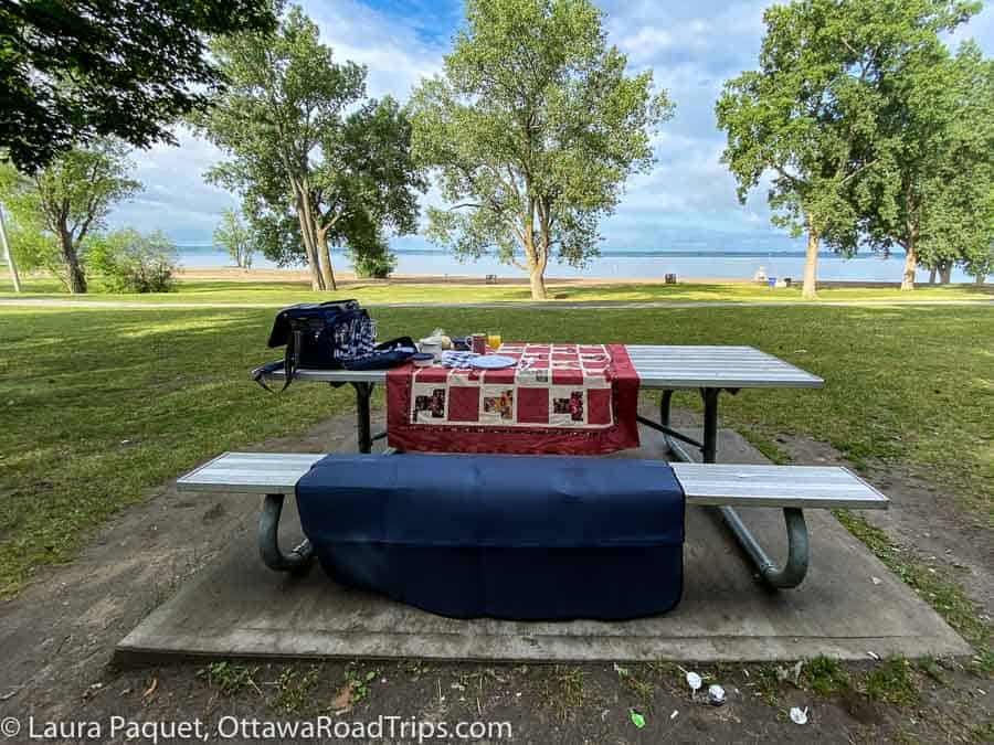 picnic table with red tablecloth in front of park trees with beach in distance