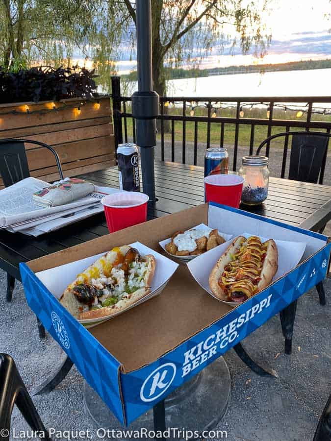 hot dog, sausage in a bun and home fries with garlic sauce in a blue cardboard box on a metal table, with beer cans and river view in background