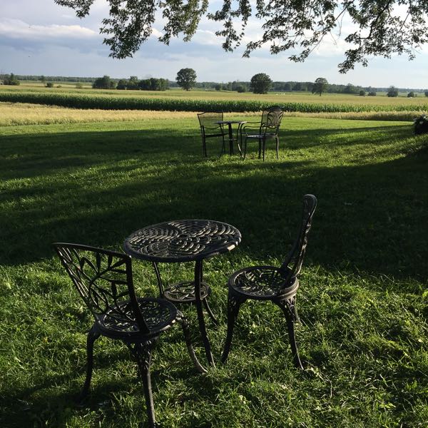 black wrought-iron chairs and tables on a green lawn below trees with farmland in background.