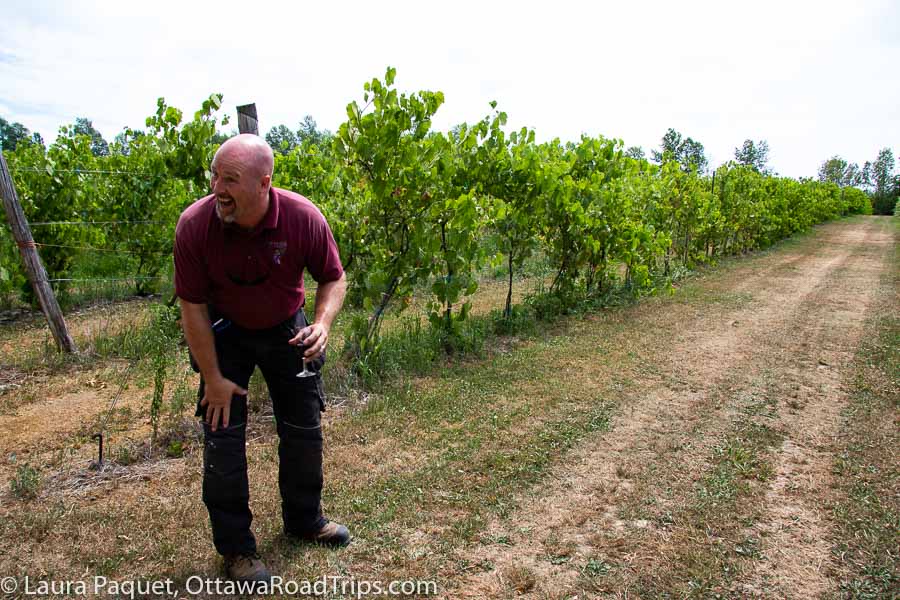 man in burgundy shirt holding glass of red wine laughing in front of a row of vines at smokie ridge vineyard in mountain