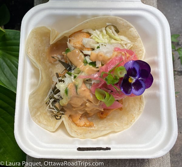 Taco at Sula Wok with pickled vegetables, a purple flower, chicken and sauce in a white cardboard container on a wooden bench, near green plants.