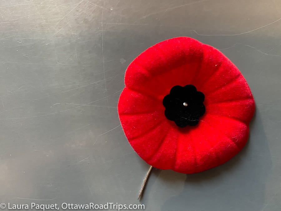 red felt Royal Canadian Legion poppy on a green background