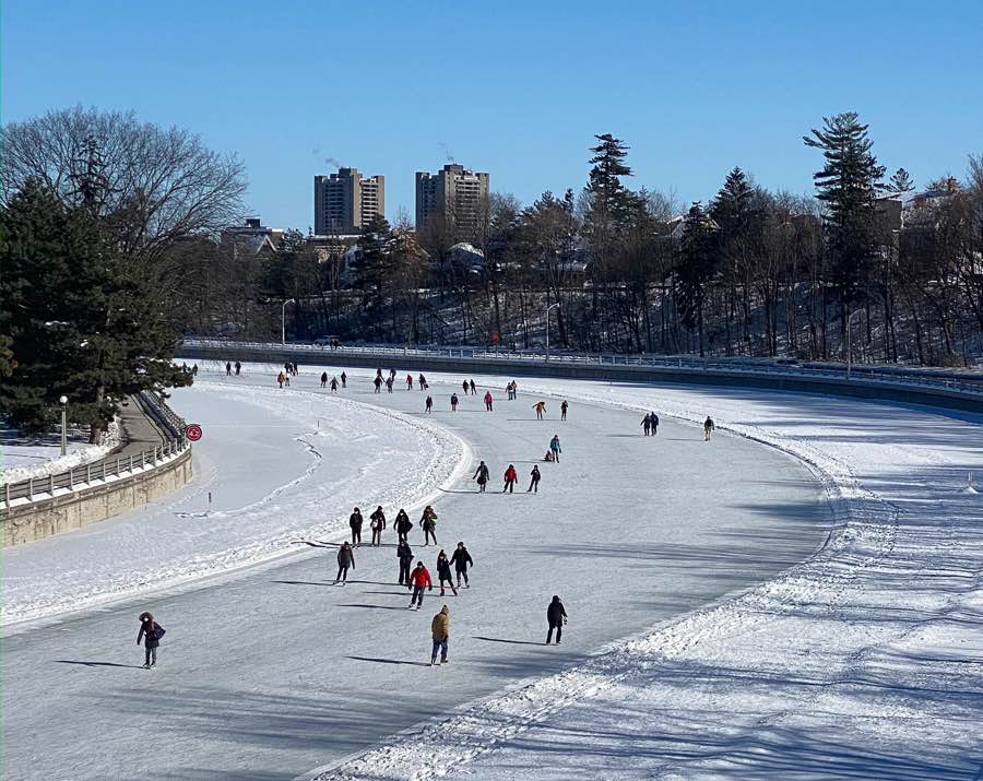 people skating on the cleared surface of the rideau canal in ottawa, with coniferous trees, houses and paths and a road along the canal's edge.