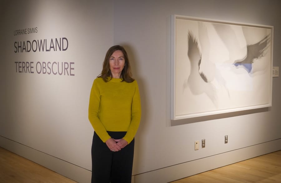 woman with shoulder-length brown hair, wearing chartreuse sweater and black pants, in front of large pencil drawing of shadows of bird in flight