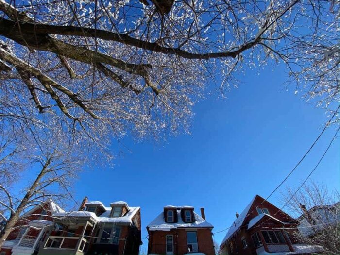 rooflines of 1920s brick houses and an icy tree branch against a blue sky in old ottawa south