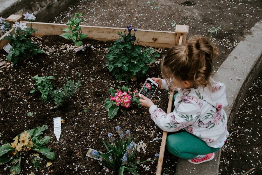 small girl kneeling beside a flower bed and digging