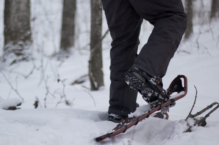 Photo from knees down of person in black snow pants walking through snowy forest on snowshoes.