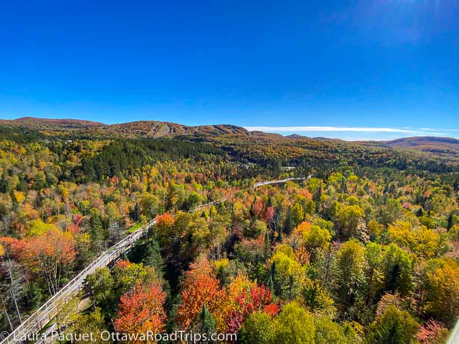 aerial view of fall colours with boardwalk running through forest at sentier des cimes