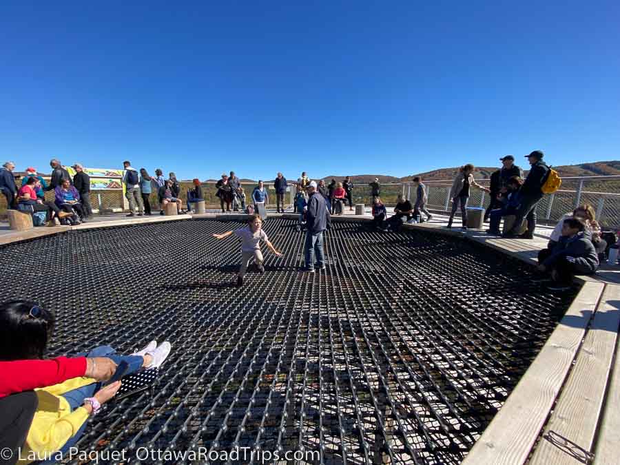 People standing on a network of cables surrounded by a wooden deck.