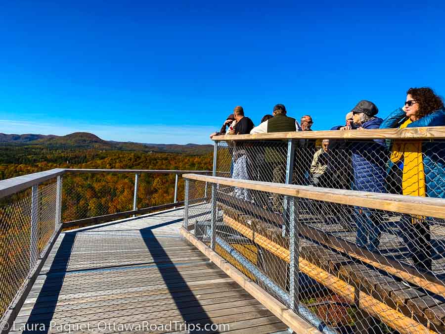 people standing on wooden observation deck looking at fall foliage far below